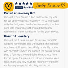 Load image into Gallery viewer, anniversary gift 
