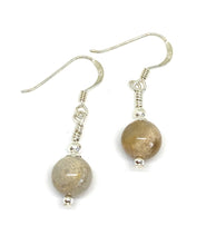 Load image into Gallery viewer, Fossilised Coral Drop Earrings | Sterling Silver
